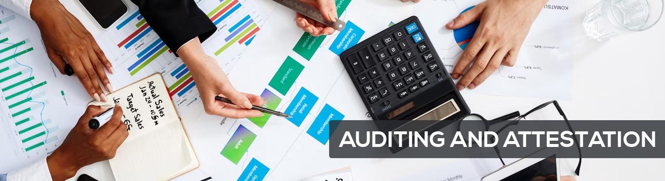 Chartered Accountant